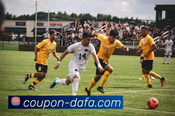 大发彩票平台生态图